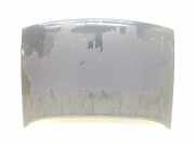 Motorhaube 7901F6 Citroën CITROEN 1.5 D (54 CV) 1997