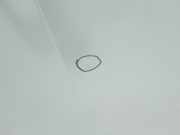 Motorhaube 651224338R Renault L1H1 29t Komfort