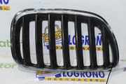 Grill Gitter Rechts 51137113734 BMW X5 (E53) SUV 3.0d 24V (M57N-D30(306D2)) 2006
