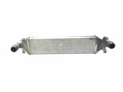 Ladeluftkühler A2465000900 Mercedes-Benz A (W176) Schrägheck 1.5 A-180 CDI, A-180d 16V (OM607.951(Euro 5) 2013
