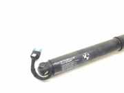 Gasdruckfedern Set Hinten 9482790 BMW SERIE G02 xDrive20d M Sport X