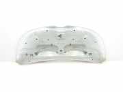 Motorhaube 651224338R Renault L1H1 29t Komfort