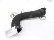Intercooler Schlauch 0382GZ Peugeot Expert Tepee (G9) Großraumlimousine 2.0 HDi 140 16V (DW10BTED4(RHR)) 2008