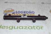 Einspritzdüsen Düsenstock 4R8Q9D280AB Land + Range Rover Range Rover Sport (LS) Geländewagen 2.7 TDV6 24V (276DT) 2005