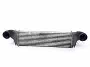 Ladeluftkühler 17517791231 BMW X5 (E53) SUV 3.0d 24V (M57N-D30(306D2)) 2006
