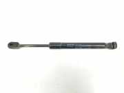 Gasdruckfedern Set Hinten 30799160 Volvo S60 I (RS/HV) Limousine 2.4 D5 20V (D5244T5) 2008