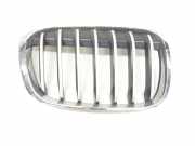 Grill Gitter Links 7383365 BMW X1 (F48) SUV xDrive 18d 2.0 16V (B47-C20A(Euro 6))