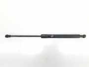 Gasdruckfeder Vorne 51237118370 BMW 1 serie (E87/87N) Schrägheck 5-drs 118d 16V (N47-D20A) 2007