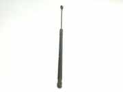 Gasdruckfedern Set Hinten 51242990136 BMW X1 (E84) SUV sDrive 20d 2.0 16V (N47-D20C) 2011