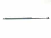 Gasdruckfedern Set Hinten 8402405 BMW X5 (E53) SUV 3.0d 24V (M57N-D30(306D2)) 2004