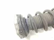 Stoßdämpfer Links Hinten 33526871801 BMW 2.0 16V Turbodiesel (190 CV) 2018