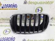 Grill Gitter Links 51317157687 BMW X5 (E70) SUV 4.8i V8 32V (N62-B48B) 2007