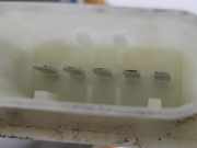 Fensterhebermotor Links Vorne 5A3F285 Mini Mini (F56) Schr?gheck 3-drs 1.5 12V Cooper D (B37C15A)