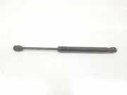 Gasdruckfeder Set Vorne 4G8823359A Audi A6 (C7) Limousine 2.0 TDI 16V (CGLC) 2014