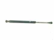 Gasdruckfeder Hinten 51248254281 BMW 3 serie (E46/4) Limousine 320d 16_V (M47N(204D4)) 2002