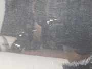 Tür Links Vorne 5JA831051C Seat Toledo (NHAA) Liftback 1.6 TDI 16V 105 (CAYC/CLNA) 2012