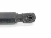 Gasdruckfeder Hinten 4L0827552E Audi Q7 (4LB) SUV 3.0 TDI V6 24V (BUG) 2007