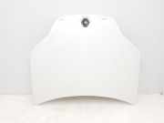 Motorhaube 651000021R Renault Laguna III Estate (KT) Kombi 5-drs 1.5 dCi 110 (K9K-846(K9K-R8)) 2015