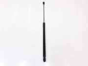 Gasdruckfeder Hinten BM51A406A10AE Ford Focus 3 Schrägheck 1.6 TDCi 115 (T1DA) 2014