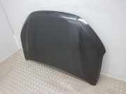 Motorhaube 651004113R Dacia Sandero III Schrägheck 1.0 TCe 100 12V ECO-G (H4D-480)