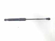 Gasdruckfeder Set Vorne 93460596 Opel Vivaro Van 1.6 CDTI 95 Euro 6 (R9M-413(R9M-H4)) 2018