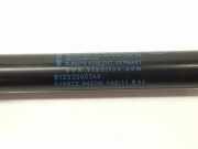 Gasdruckfeder Set Vorne 51232990344 BMW X1 (E84) SUV xDrive 20d 2.0 16V (N47-D20C) 2011