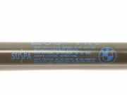 Gasdruckfedern Set Hinten 51247060623 BMW 3 serie (E90) Limousine 320d 16V (N47-D20A) 2008