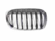 Grill 51137354824 BMW X1 (F48) SUV xDrive 18d 2.0 16V (B47-C20A(Euro 6)) 2017