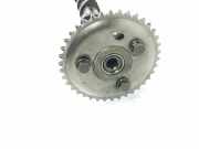 Nockenwelle 1653667980 Citro?n Jumper (U9) Van 2.2 HDi 130 Euro 5 (PUMA(4HH)) 2014