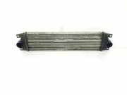 Ladeluftkühler 93179776 Renault II FASE 2 BUS Mini - Bus 9 - plazas L1H1 2006