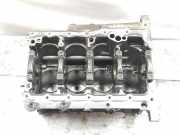 Motorblock 038103101AB Volkswagen Passat (3B3) Limousine 1.9 TDI 130 (AVF) 2001