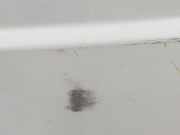 Tür Rechts Hinten 901008288R Renault L1H1 29t Komfort