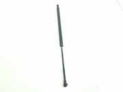 Gasdruckfeder Hinten 51248402405 BMW X5 (E53) SUV 3.0d 24V (M57N-D30(306D2)) 2004