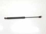 Gasdruckfedern Set Hinten 1K6827550F Volkswagen Golf V (1K1) Schrägheck 1.9 TDI (BXE) 2007 BXE