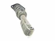 Stoßdämpfer Rechts Hinten 33529807016 Mini Mini Countryman (R60) Cross-over 1.6 16V One (N16-B16A)