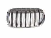 Grill 51137354823 BMW X1 (F48) SUV xDrive 18d 2.0 16V (B47-C20A(Euro 6)) 2017