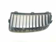 Grill Gitter Rechts 51137120008 BMW 3 serie (E90) Limousine 320i 16V (N46-B20B) 2005
