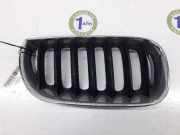 Grill Gitter Rechts 51133402910 BMW 2.0 16V D (150 CV) 2006