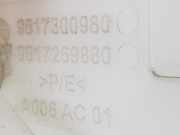 Scheibenwaschbeh?lter 9817300980 Opel Combo Cargo Van 1.5 CDTI 100 (D15DT(DV5RC))