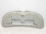 Motorhaube 651224338R Renault L1H1 29t Komfort