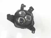 Nebelscheinwerfer Links 92201D4100 Kia Clarus Limousine 2.0i SLX,GLX 16V (FE-16V)