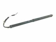 Gasdruckfedern Set Hinten 6891076010 Lexus UX SUV 250h 2.0 16V (M20A-FXS)