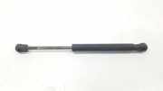 Gasdruckfeder Set Vorne 51239802054 Mini Countryman (R60) SUV 1.6 Cooper D (N47-C16A) 2010
