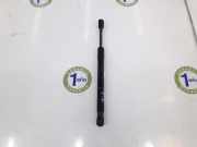 Gasdruckfeder Hinten 4F5827552B Audi A6 (C6) Limousine 3.0 TDI V6 24V Quattro (BMK) 2006