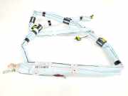 Vorhang Airbag Rechts VOOR A2478602302 Mercedes-Benz B (W247) Schrägheck 2.0 B-200d (OM654.920)