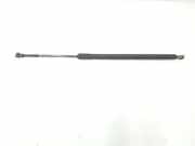 Gasdruckfeder Hinten 51248402405 BMW X5 (E53) SUV 3.0d 24V (M57N-D30(306D2)) 2006