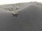 Handbremshebel 361352580R Fiat Talento Van 1.6 MultiJet Biturbo 120 (R9M-413(R9M-H4)) 2019