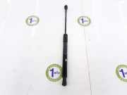 Gasdruckfeder Hinten 00520315180 Fiat 500X (334) SUV 1.6 D 16V Multijet II (55260384) 2017