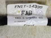 Verkleidung Himmel 1806743 Ford EcoSport (JK8) SUV 1.5 Ti-VCT 16V (UEJB(Euro 5)) 2016