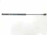 Gasdruckfeder Hinten 9800717680 Citroën C4 Berline (NC) Schrägheck 5-drs 1.2 12V PureTech 110 (EB2DT(HNZ)) 2016